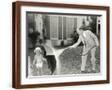 Brown Frame