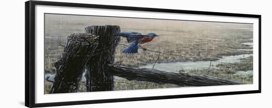 April Showers - Eastern Bluebird-Wilhelm Goebel-Framed Giclee Print