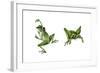 April Showers - Frogs-Peggy Harris-Framed Giclee Print