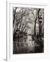 April Showers-Toby Vandenack-Framed Art Print