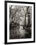 April Showers-Toby Vandenack-Framed Art Print