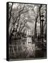 April Showers-Toby Vandenack-Framed Stretched Canvas