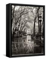 April Showers-Toby Vandenack-Framed Stretched Canvas