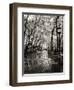 April Showers-Toby Vandenack-Framed Art Print