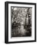 April Showers-Toby Vandenack-Framed Art Print