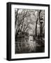 April Showers-Toby Vandenack-Framed Art Print