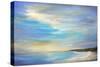 April Sky-Sheila Finch-Stretched Canvas