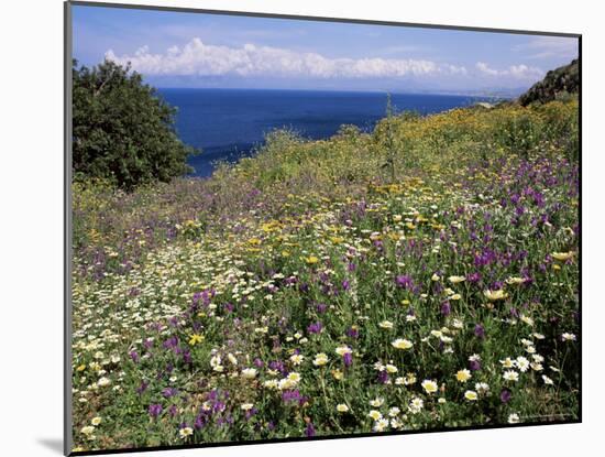 April Spring Flowers, Zingaro Nature Reserve, Northwest Area, Island of Sicily, Italy-Richard Ashworth-Mounted Photographic Print