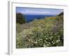 April Spring Flowers, Zingaro Nature Reserve, Northwest Area, Island of Sicily, Italy-Richard Ashworth-Framed Photographic Print