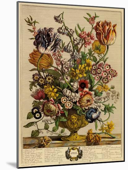 April-Robert Furber-Mounted Art Print