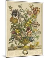 April-Robert Furber-Mounted Giclee Print