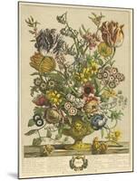 April-Robert Furber-Mounted Art Print