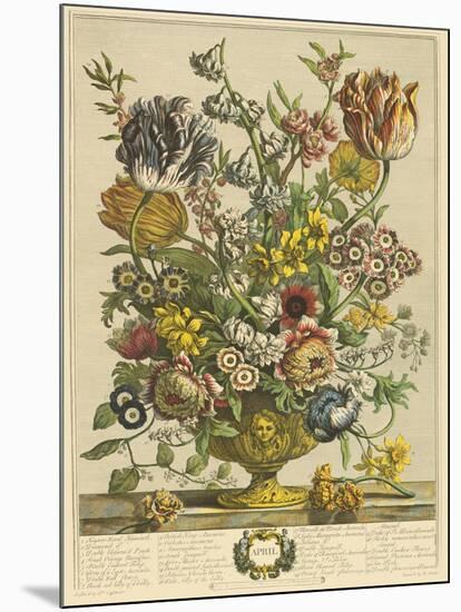 April-Robert Furber-Mounted Art Print