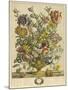 April-Robert Furber-Mounted Art Print