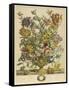 April-Robert Furber-Framed Stretched Canvas