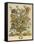 April-Robert Furber-Framed Stretched Canvas