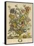 April-Robert Furber-Framed Stretched Canvas