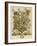 April-Robert Furber-Framed Art Print