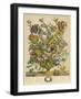 April-Robert Furber-Framed Art Print