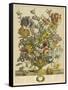 April-Robert Furber-Framed Stretched Canvas