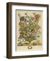 April-Robert Furber-Framed Art Print