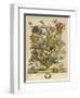 April-Robert Furber-Framed Art Print