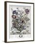 April-H. Fletcher-Framed Giclee Print