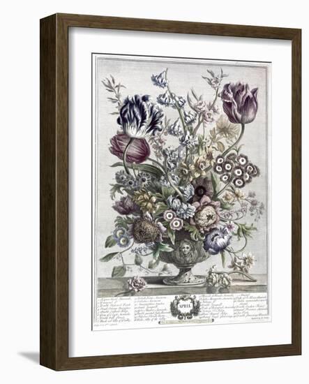 April-H. Fletcher-Framed Giclee Print