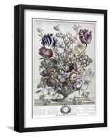 April-H. Fletcher-Framed Giclee Print