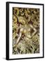 Apsara-null-Framed Giclee Print