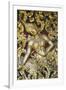 Apsara-null-Framed Giclee Print