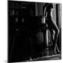 Apt. 1720-2-Sebastian Black-Mounted Photo