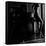 Apt. 1720-2-Sebastian Black-Framed Stretched Canvas