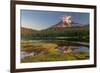 Aptly named Reflection Lake in Mount Rainier National Park, Washington State, USA-Chuck Haney-Framed Photographic Print