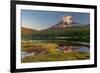 Aptly named Reflection Lake in Mount Rainier National Park, Washington State, USA-Chuck Haney-Framed Photographic Print