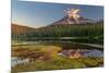 Aptly named Reflection Lake in Mount Rainier National Park, Washington State, USA-Chuck Haney-Mounted Photographic Print