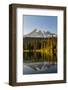 Aptly named Reflection Lake in Mount Rainier National Park, Washington State, USA-Chuck Haney-Framed Photographic Print