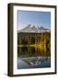 Aptly named Reflection Lake in Mount Rainier National Park, Washington State, USA-Chuck Haney-Framed Photographic Print