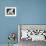APTOPIX Argentina White Tigers-Eduardo Di Baia-Framed Photographic Print displayed on a wall