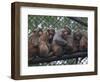 APTOPIX Bangladesh Cold-Pavel Rahman-Framed Photographic Print