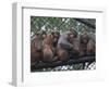 APTOPIX Bangladesh Cold-Pavel Rahman-Framed Photographic Print