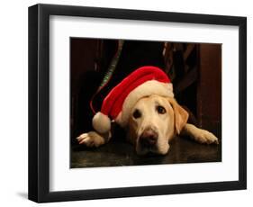 APTOPIX Blessing of the Animals-Tina Fineberg-Framed Photographic Print