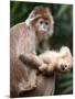 APTOPIX Bronx Zoo-Mary Schwalm-Mounted Premium Photographic Print