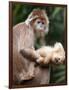 APTOPIX Bronx Zoo-Mary Schwalm-Framed Photographic Print