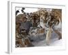 APTOPIX China Siberian Tigers-Ng Han Guan-Framed Photographic Print