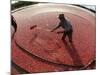 APTOPIX Cranberry Harvest-Charles Krupa-Mounted Photographic Print