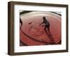 APTOPIX Cranberry Harvest-Charles Krupa-Framed Photographic Print