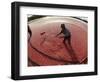 APTOPIX Cranberry Harvest-Charles Krupa-Framed Photographic Print