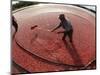 APTOPIX Cranberry Harvest-Charles Krupa-Mounted Photographic Print