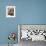 APTOPIX Cuba Dog Show-Javier Galeano-Framed Photographic Print displayed on a wall